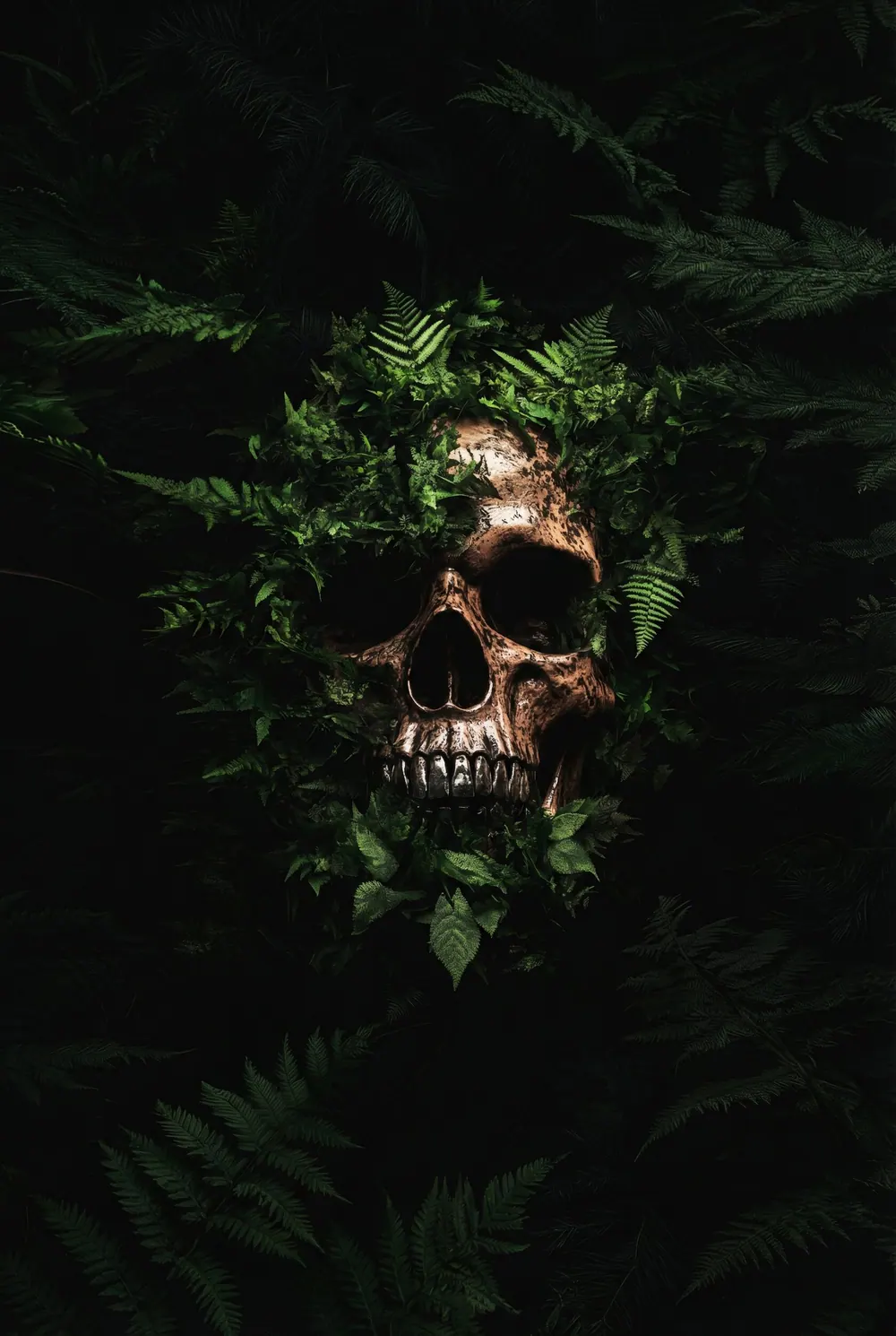 “Emerald Relic” book cover: A skull hides among dense green ferns in forest twilight.